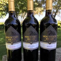 原瓶直采的時光佳釀：山之峰仙粉黛，黑櫻桃與胡椒的纏綿余韻